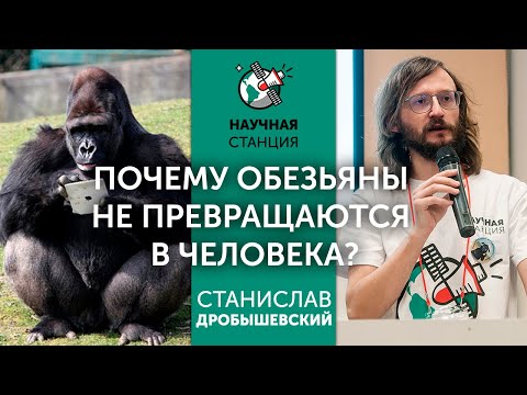 Почему обезьяны не превращаются в людей? Станислав Дробышевский