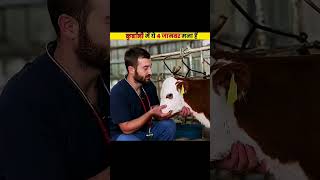 Qurbani me ye 4 janwar mana hai #facts #noorfacts
