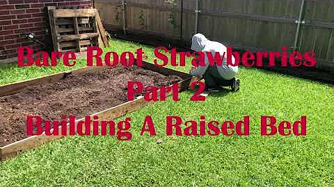 Strawberries Part 2 Building a Raised Bed