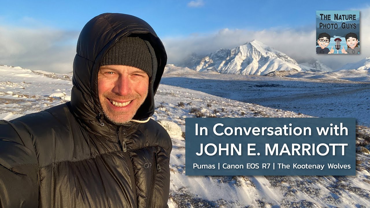 In Conversation with JOHN E. MARRIOTT | Pumas, Canon EOS R7, and The Kootenay Wolves
