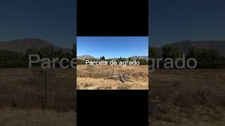VideoParcelaPeñaflor