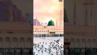 Islamic status video 💥🌹🥀❣️#wqbonsai #upscmotivation #ringtone #domingo #odisha #online #zodiac #xiao