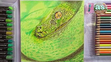 Green tree python drawing. Snake eyes drawing. How to draw python eye with colour pencils.