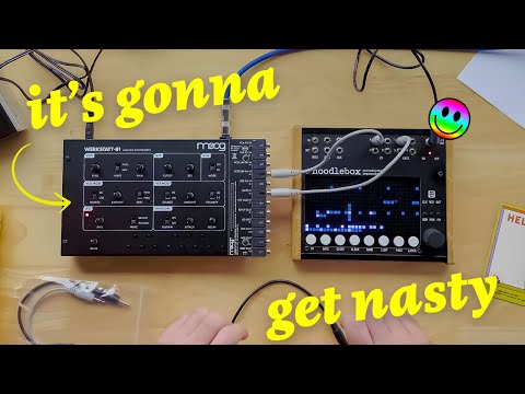 Moog Werkstatt-01 (From Build to ACID) - YouTube