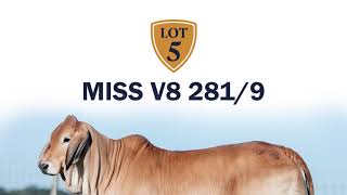 Miss V8 2819 Sells October 20 In V8 Ranch Made For Magic Ii Online Sale
