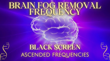 Brain Fog Removal Frequency Shot Black Screen | 533Hz 822Hz 2447Hz