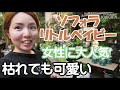 ソフォラリトルベイビー　枝がカクカク　めちゃくちゃ可愛い　女性に人気　風が好き　オススメ植物　枯れても可愛い【おうちでガーデニング】開花園チャンネル
