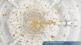 Revolutionary Micro Jet Mill: The Future of Ultra-Fine Grinding Revealed!