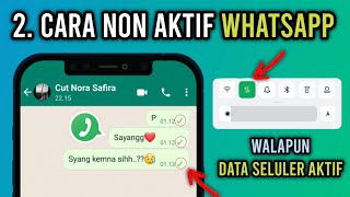 2 Cara Menonaktifkan Whatsapp Tanpa Mematikan Data Seluler