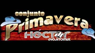 Conjunto Primavera - Hector Dj Piojito Mix