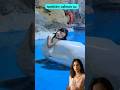 🐋 Secretos Increíbles de las Ballenas Beluga que No Sabías 😱 #shorts