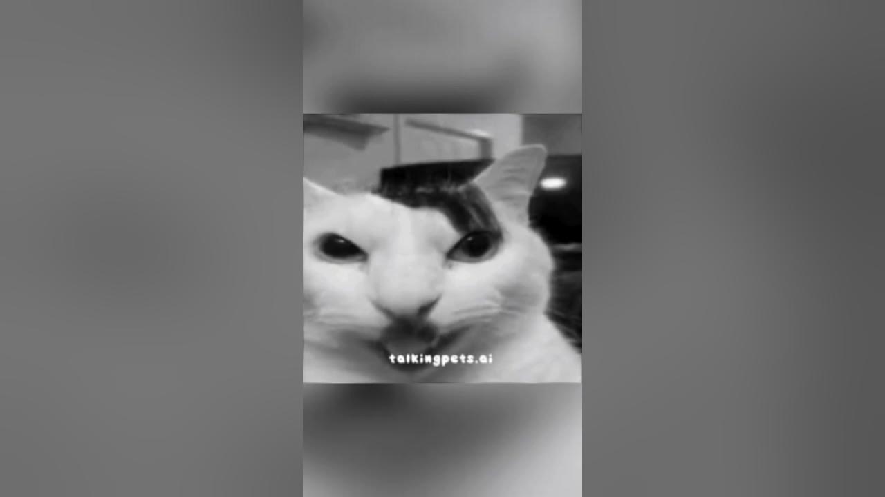 KITLER SINGS ERIKA🙋🇩🇪