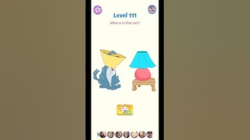 DOP 5: Eraser Master Level 111