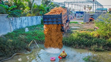 Starting Perfectly New Project! Landfill Delete Flooded Pond by Skill Bulldozer Push Soil with Truck