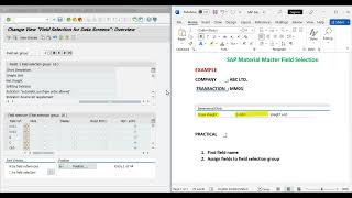 SAP Material Master Field Selection | SAP MM | SAP Material Master Field Selection Configuration screenshot 3