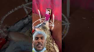 बिल्ली नें किया जादू टोना ☠️😱 | Mini Vlog #shorts #minivlog #ashortaday #vlog #tranding #cats #cat