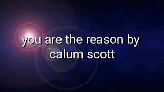 You are the reason by Calum Scott ( lyrics video )