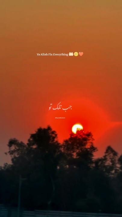 Ya Allah Fix Everything must Subscribe ramadan aesthetic tiktok ya-allah-fix-everything-must-subscribe-ramadan-aesthetic-tiktok