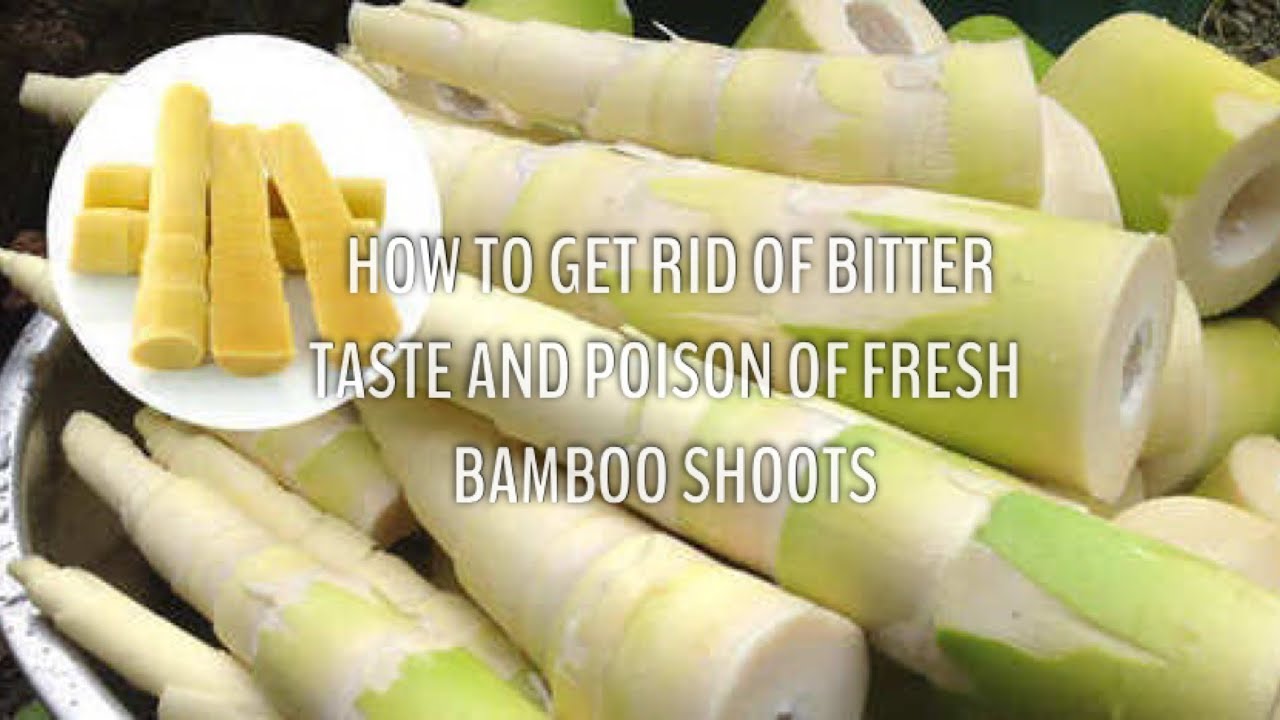 HOW TO GET RID OF BITTER TASTE AND POISON OF FRESH BAMBOO SHOOTS