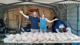 How We Process Our Meat Birds / Chickens Using our Homemade Chicken Scalder and Plucker.