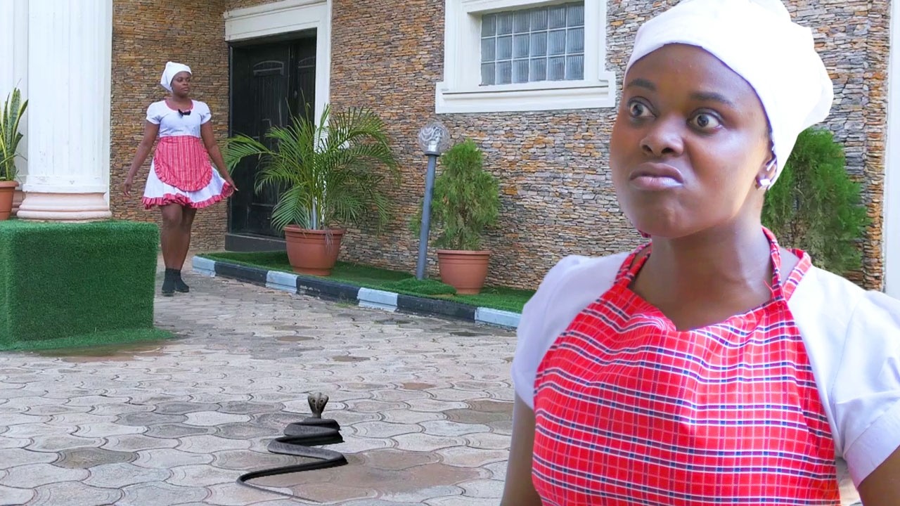 I NEVER KNEW THE GIRL I EMPLOYED WAS EVIL TILL I EMPLOYED HER AS MY HOUSEMAID-NewAfrinolly2026