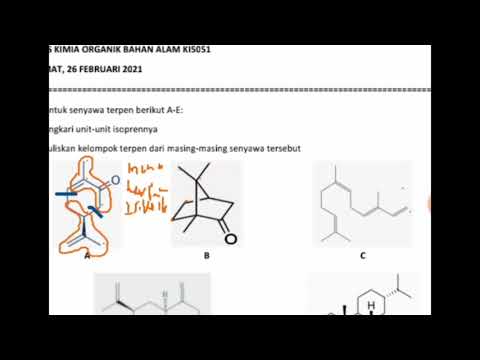Mengidentifikasi Unit isopren dalam Senyawa Terpen