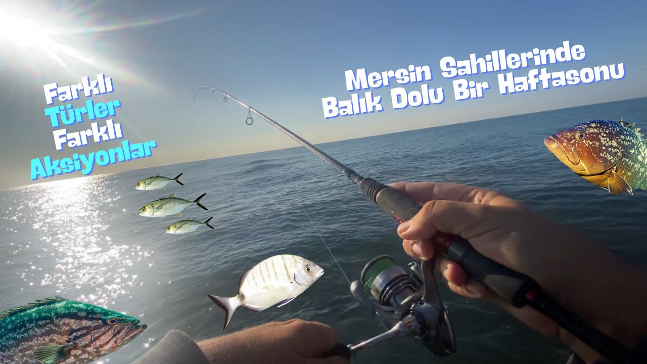 LRF Mersin'in Farklı Kıyılarında At Çek Balık Avı. 15/16.11.2025. Hanfish Zıpır / Bıdık Bal Karides