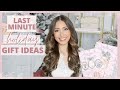 LAST MINUTE HOLIDAY GIFT IDEAS 2020 | CHRISTMAS GIFT GUIDE $10 & up!!
