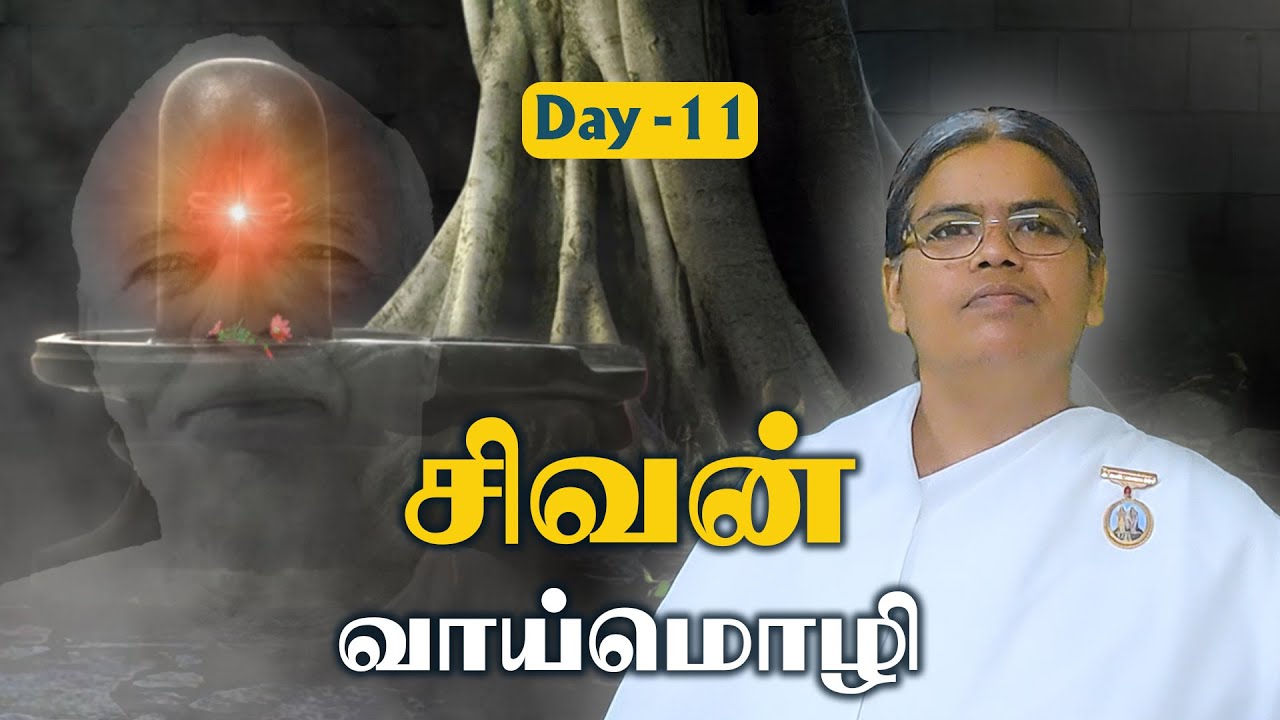 Day 11 : Meditation with Shiva | Shivanum Nanum | #mahashivaratri2025 | Brahma Kumaris