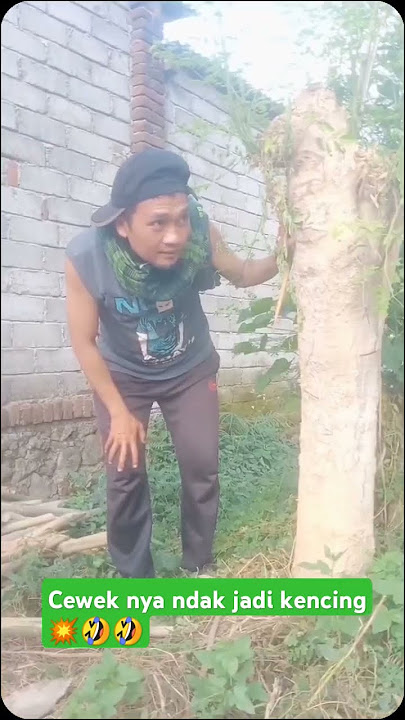 NGINTIP CEWEK KENCINGπ₯π
π
π