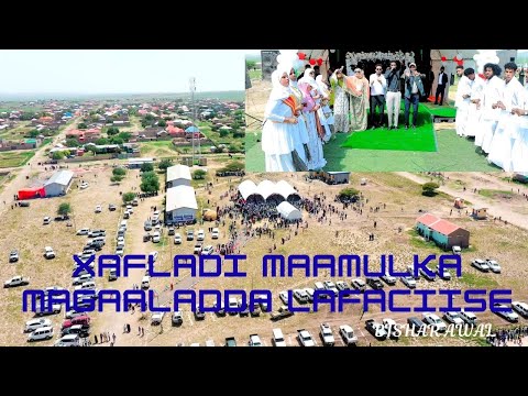 Dhaanto cusub 2025 | Gobaladda deegaanka | Bishaar awal | Xafladii MM Lafaciise