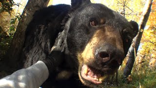 Download Lagu Joji - Past Won't Leave My Bed (Official Video) MP3