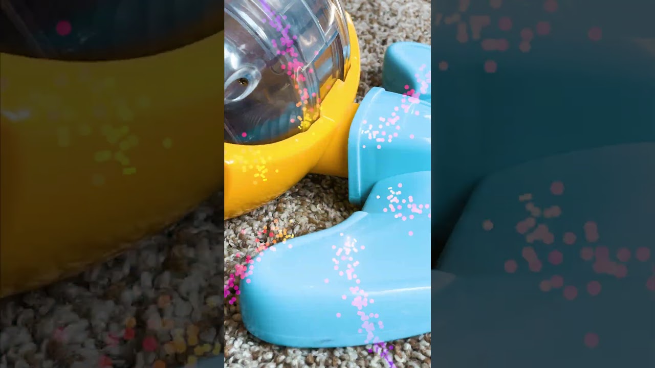 It's cleaning time with Baby Shark Vacuum!