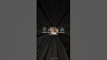 Abdurrahman Mossad عبد الرحمن مسعد | Surah Al-Ankabut 59-60 | سورة العنكبوت ٥٩-٦٠