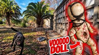 Dogs Attack Me At Witchcraft Cemetery - What Was Going On Here
