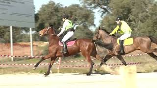 Toril 2024 Pura Sangre Carrera Final