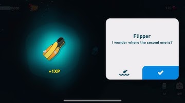 Creatures of the deep - Flipper in Costa Rica