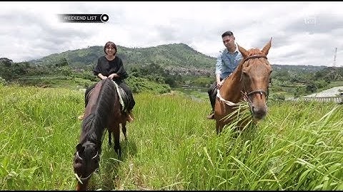Weekend List - Sensasi Berkuda di Taman Lembah Dewata
