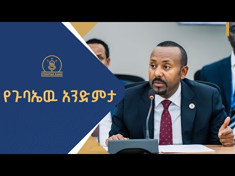 የጉባኤዉ አንድምታ