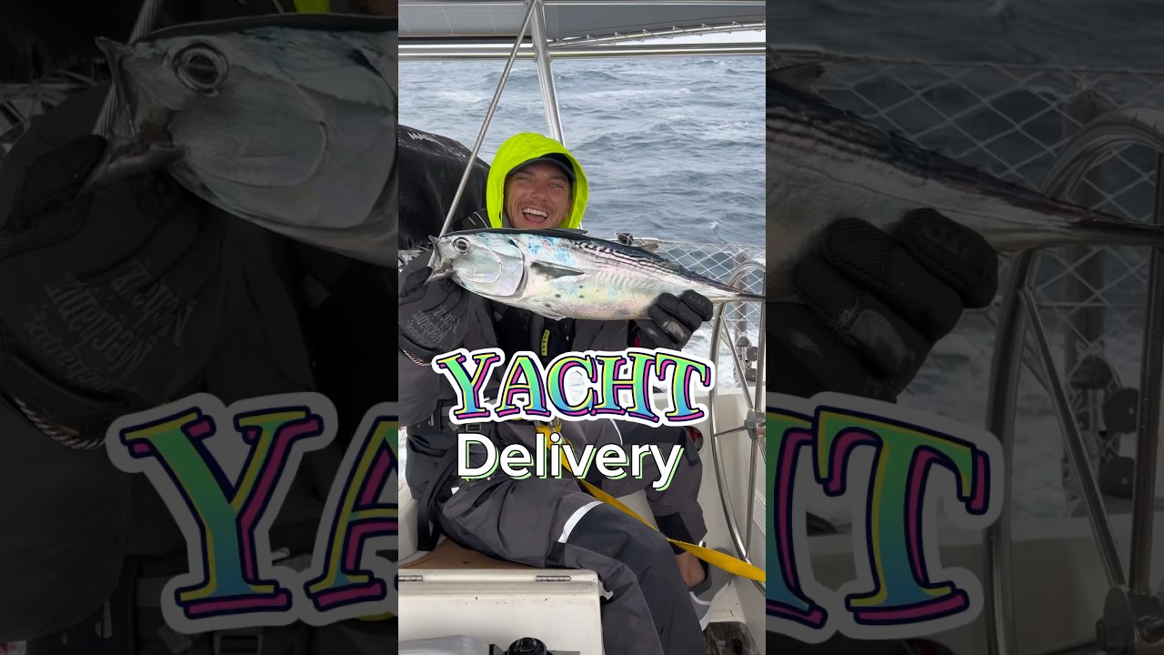 Sailing Yacht Delivery  #sailing #captain  #yacht #delivery #sailingbyefelicia