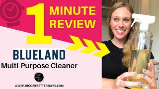 Blueland MultiPurpose Cleaner I One Minute Review