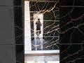🚿 Luxury Bathroom Look with 2×4 Black Tiles &amp; Gold Pati ✨ #Shorts|| tiles master Telugu