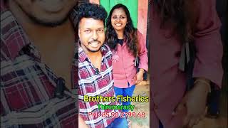 Brothers fisheries. Thirumaradi👍 #shortvideo #coldstorage #reels