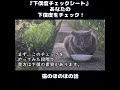 【猫のほのぼの話】『下僕度チェックシート』あなたの下僕度をチェック!#ねこぬこにゃんこ #猫 #猫の話 #ほのぼの #shorts