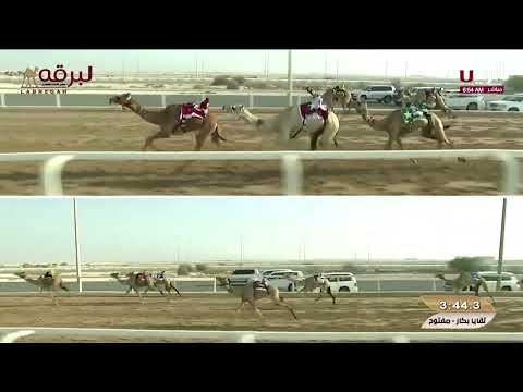 ش15 مودة ل جابر سالم سعيد الجربوعي المري السباق المحلي الأول 10 09 2025ص لقايا بكار مفتوح 6 17 03