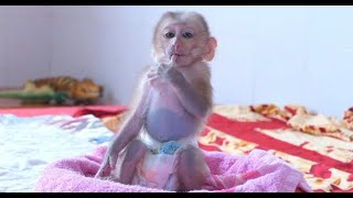 The most cutie baby monkey! Yen very soft playing alone with gentle act, screenshot 5