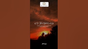 { وقالوا الحمد لله الذي أذهب عن الحزن } | القارئ عبدالإله بن عون