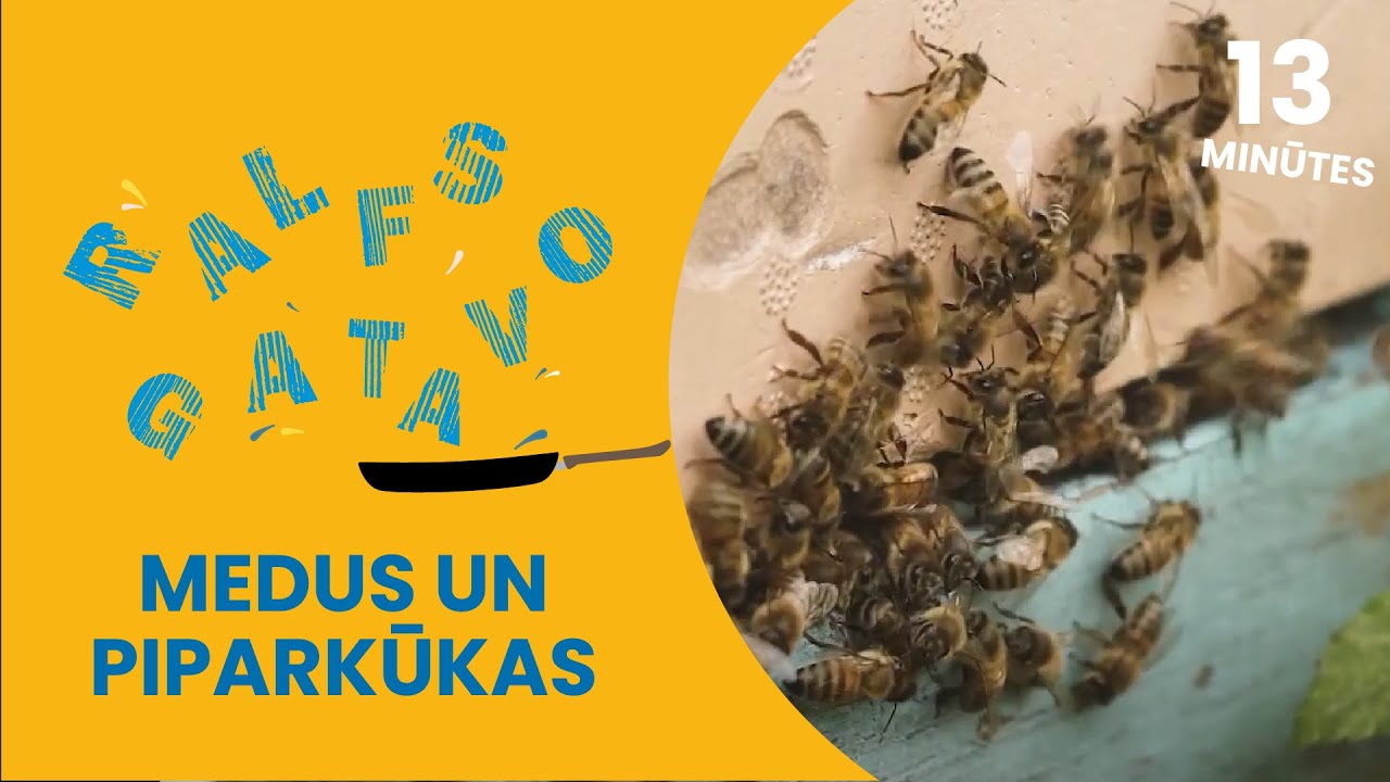 RALFS GATAVO | Medus un piparkūkas | 1. sezona 7. sērija