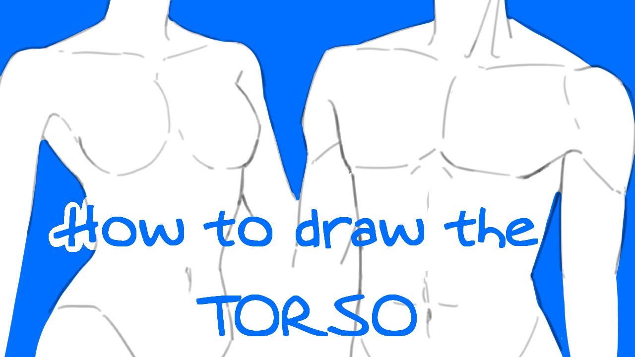 How to draw TORSOS + GIVEAWAY!