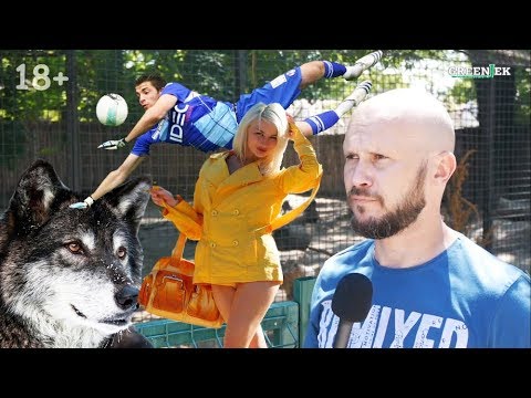 Проститутка, футболист и волк №60 - Анекдоты от Новицкого Проститутка, футболист и волк №60 - Анекдоты от Новицкого